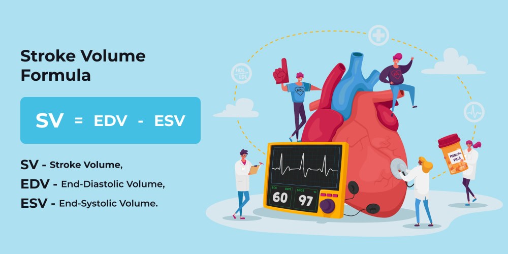 stroke volume equation