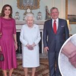 queen elizabeth hands